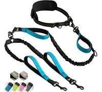 Laisse mains libre pour 2 chiens grande et moyenne taille - laisse anti-traction avec coutures réfléchissantes pour chien - accessoire chien pour le jogging, la marche à pied, la randonnée, l’escalade