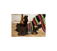 Laisse Nylon Corde Anis