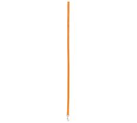 Laisse nylon pour chien Zolux Orange 20 mm