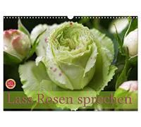 Laisse parler les roses, Version française (Calendrier mural 2026 DIN A3 portrait), Calendrier CALVENDO mensuel