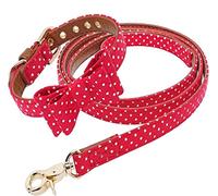 Laisse pour Animaux Collier Et Laisse pour Chien en Cuir Pet Cat Bow Collar Polka Dot Lead Rope Collier De Chien Laisse Toutes Races(20-29cm)