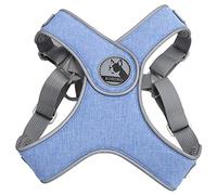 Laisse pour Animaux de Compagnie avec Harnais réfléchissant, réglable et Respirant, pour Chats et Chiens, Sangle de Promenade extérieure (M)