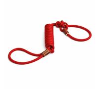 Laisse pour Chien 1,20m - Robuste en Polyester et Cuir, Confortable et Élégante, Parfaite pour Promenades Sécurisées en Ville et Nature