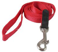 Laisse pour Chien 1/5,1 cm de large Longueur de 1,5 m en nylon avec cuir Enforced Snap Rouge Petite