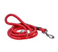 Laisse pour Chien 150 cm avec Collier Réglable 45cm en Corde Résistante