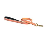 Laisse pour chien 3 positions Bobby Walk Beige 2x100 cm