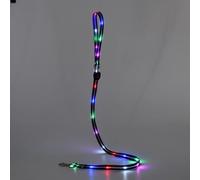 Laisse pour chien à DEL rechargeable, lumineuse et rechargeable, 1,2 m, pour promenade de nuit et sécurité (laisse phosphorescente)