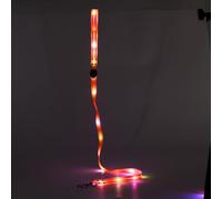 Laisse pour chien à DEL rechargeable, lumineuse et rechargeable, 1,2 m, pour promener la nuit et la sécurité (laisse rouge)