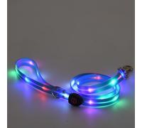 Laisse pour chien à DEL rechargeable, lumineuse et rechargeable, 1,2 m, pour promener la nuit et la sécurité (laisse bleue)