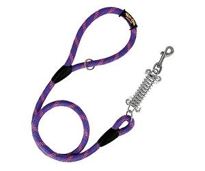Laisse pour Chien, Amortisseur, Anti-Traction, pour Chiens de Taille Moyenne et Grande, Fabriquée en Espagne. 120cm. Violet avec Rose