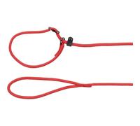 Laisse pour chien anti-traction Aiden FLAMINGO