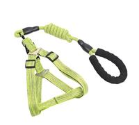 Laisse pour chien avec boucle en D - Confortable - Corde d'entraînement multicolore pour chiens