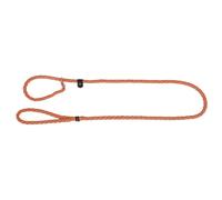 Laisse pour chien avec collier intégré Kerbl Maxi Safe Orange 170 cm