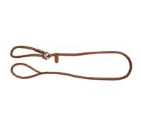 Laisse pour chien avec collier intégré Kerbl Roma Rouge 170 cm