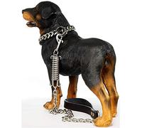 Laisse pour chien, câble d'attache de 15 mm avec ressort absorbant les chocs, laisse en acier inoxydable durable pour chiens de moyenne et grande taille, utilisation en extérieur