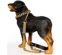 Laisse pour chien, câble d'attache de 15 mm avec ressort absorbant les chocs, laisse en acier inoxydable durable pour chiens de moyenne et grande taille, utilisation en extérieur