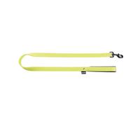 Laisse pour chien confort classic nylon Martin Sellier S Vert 16/120 cm