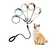 Laisse pour Chien Corde de Traction | Corde De Course pour Animaux De Compagnie avec Poignée Rembourrée | avec Rotation 360 Degrés pour Randonnée Jogging Jeu sur Plage Voyage en Plein Air