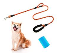Laisse pour Chien de 1,8 m * 1 cm avec poignée rembourrée + Peigne