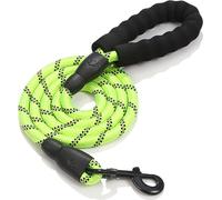 laisse pour chien de 150 cm de long, très réfléchissante, avec poignée confortable en mousse antidérapante, boucle métallique, pas de traction de la laisse d'entraînement (vert)