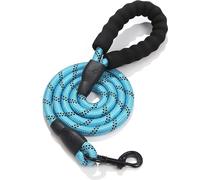 laisse pour chien de 150 cm de long, très réfléchissante, avec poignée confortable en mousse antidérapante, boucle métallique, pas de traction de la laisse d'entraînement (bleu clair)