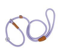 Laisse pour Chien de Taille Moyenne et Grande, 1.5M/2.1M, Boucle à Fermeture coulissante réglable, Laisse d'entraînement en Nylon de Type P Facile et Pratique pour Grands Chiens