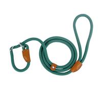 Laisse pour Chien de Taille Moyenne et Grande, 1.5M/2.1M, Boucle à Fermeture coulissante réglable, Laisse d'entraînement en Nylon de Type P Facile et Pratique pour Grands Chiens