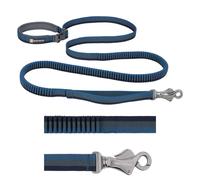 Laisse pour chien élastique Ruffwear Roamer Bleu 2,2/3,4 m