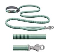 Laisse pour chien élastique Ruffwear Roamer Vert 2,2/3,4 m