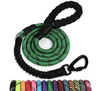 Laisse pour Chien en Corde de 1,8 m : Laisse Robuste avec Crochet pivotant verrouillable, Fils réfléchissants, élastique et poignée rembourrée, pour Chiens Grands, Petits et Moyens, à l'extérieur
