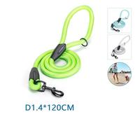 Laisse pour Chien en Corde Ronde, résistante et Confortable, idéale pour Les promenades, l'entraînement et Le contrôle de Votre Animal.