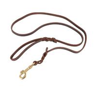 Laisse pour Chien en Cuir Artificiel, Corde de Dressage pour Animaux de Compagnie Douce, Confortable et Durable avec Mousqueton, idéale pour Marcher et Jouer avec des Chiens de