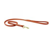 Laisse pour chien en cuir roulé Weatherbeeta Marron M