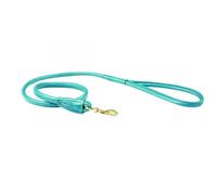 Laisse pour chien en cuir roulé Weatherbeeta Vert M