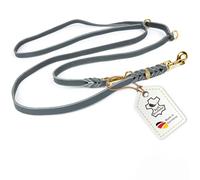 Laisse pour chien en cuir tressé - 2 m - Pour petits chiens - Réglable en 3 positions - Laisse robuste avec ferrures en laiton - Laisse pour chien et laisse mains libres à porter autour du cou - Gris
