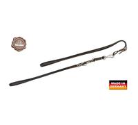 Laisse pour chien en cuir végétal Akah Marron 1,60 m x 15 mm