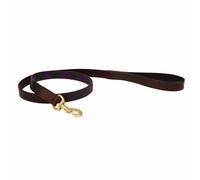 Laisse pour chien en cuir Weatherbeeta Polo Marron M