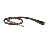Laisse pour chien en cuir Weatherbeeta Polo Marron M