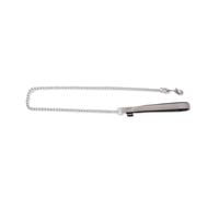 Laisse pour chien en nylon classique fine Martin Sellier Gris 20/100 cm