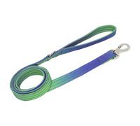 Laisse pour chien en nylon de 150 cm avec dégradé arc-en-ciel, crochet pivotant sécurisé et poignée confortable pour des promenades faciles, s'adapte à toutes les tailles de chiens