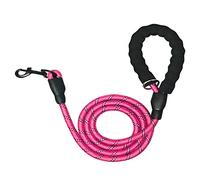 Laisse pour chien en nylon épais de 1,5 m - Fils hautement réfléchissants très résistants pour chiens de petite, moyenne et grande taille avec poignée en mousse et crochet à clip durable