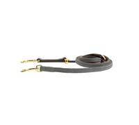 Kentucky Nylon Plaited Dog Leash 15 Mm Doré 15 mm x 200 cm