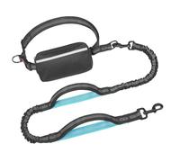Laisse pour chien en nylon robuste avec cordon élastique et design réfléchissant pour la marche des races, laisse réglable avec poche