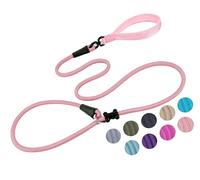 Laisse pour Chien en Nylon Robuste et poignée rembourrée, Anti-Traction pour Chiens de Petite, Moyenne et Grande Taille (Rose, 1,2 cm x 1,8 m)