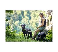 Laisse pour Chien Hunter HILO Marron (200 cm)