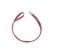 Laisse pour Chien Hunter Rouge 2 m Réglable