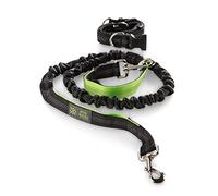 Laisse pour Chien Jack & Russell avec Ceinture à la Taille - Laisse pour Chien Vert néon Noir élastique 1,5 m - 2,0 m - Laisse Sport (Noir/Neongré Vert)