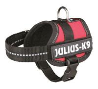 Laisse pour chien - LCC® - Taille XS - Rouge - Confortable - Résistant