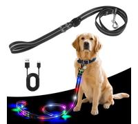 Laisse pour chien LED rechargeable par USB, 1,2 m, étanche et réfléchissante, 3 modes d'éclairage, laisse de sécurité pour les promenades nocturnes, laisse lumineuse pour chiens de grande, moyenne et