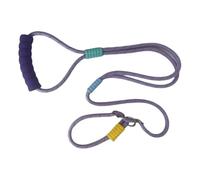 Laisse pour Chien | Longe de Promenade pour Animal de Compagnie | Accessoires pour Chien Robustes Confortables Plage Promenades Extérieur Parc Sécurité Entraînement Traction